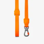 Zeedog Neopro Tangerine Correa