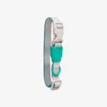 Zeedog Neopro Tidal Dog Collar