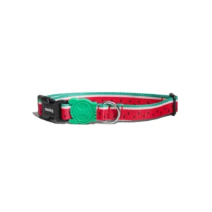 Zeedog Lola Dog Collar