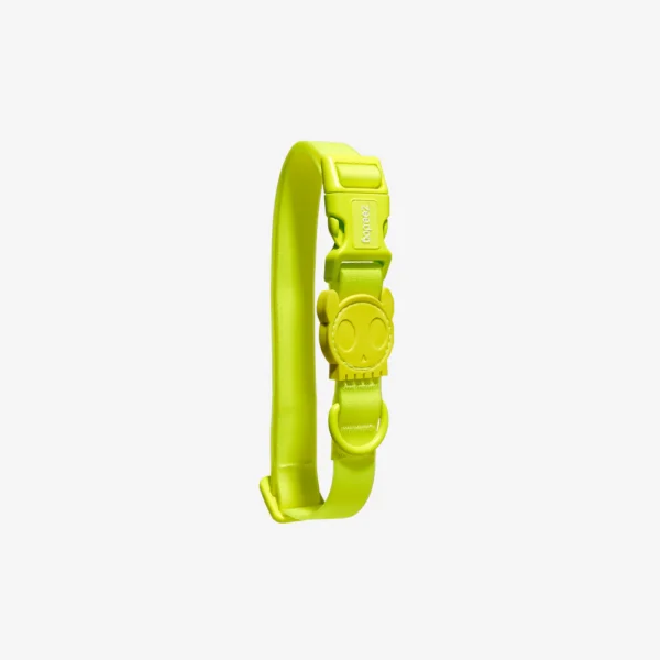 Zeedog Neopro Lime Dog Collar