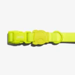 Zeedog Neopro Lime Dog Collar