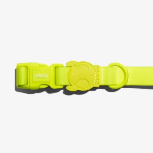 Zeedog Neopro Lime Dog Collar