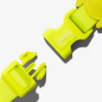 Zeedog Neopro Lime Dog Collar