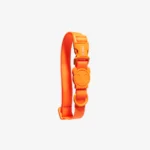 Zeedog Neopro Tangerine Dog Collar