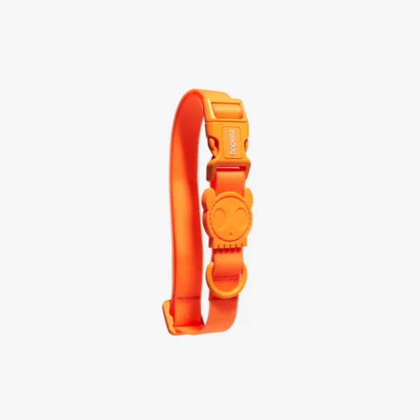 Zeedog Neopro Tangerine Dog Collar