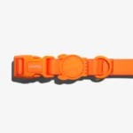 Zeedog Neopro Tangerine Dog Collar