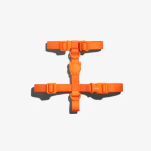 Zeedog Neopro Tangerine Dog H-Harness