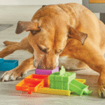 Brightkins Surprise Party Treats Puzzle