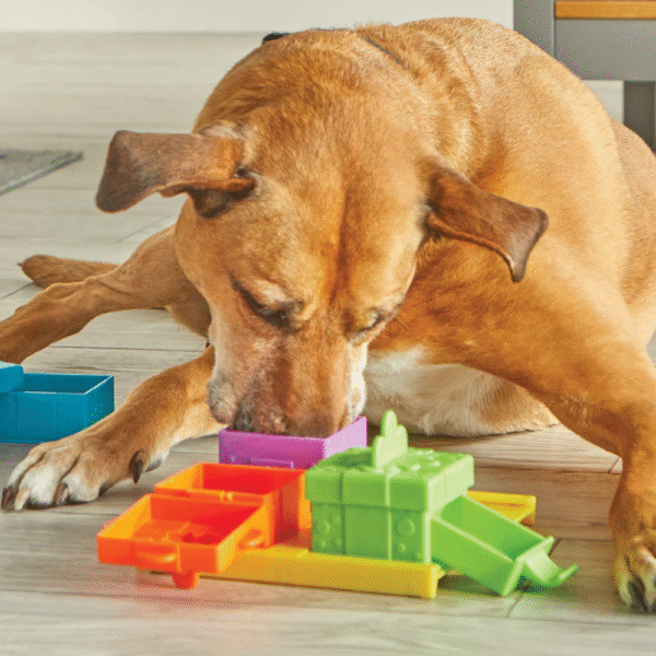 Brightkins Surprise Party Treats Puzzle