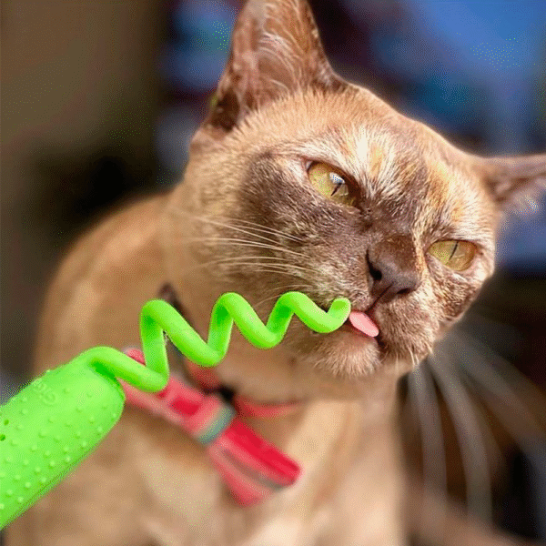 GiGwi Ratón Verde Roll-Tailed con Bolsa de Catnip