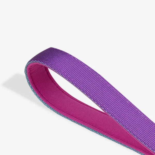 Zeedog Shockwave Correa Ruff