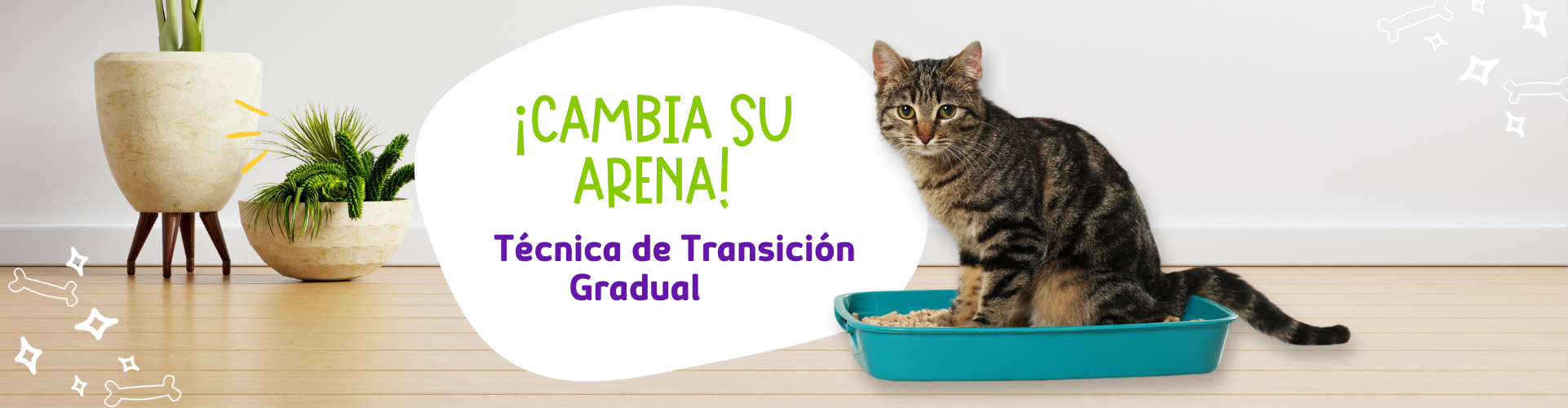 ¿Quieres cambiar la Arena de tu Gato? Aprende la Técnica de Transición Gradual