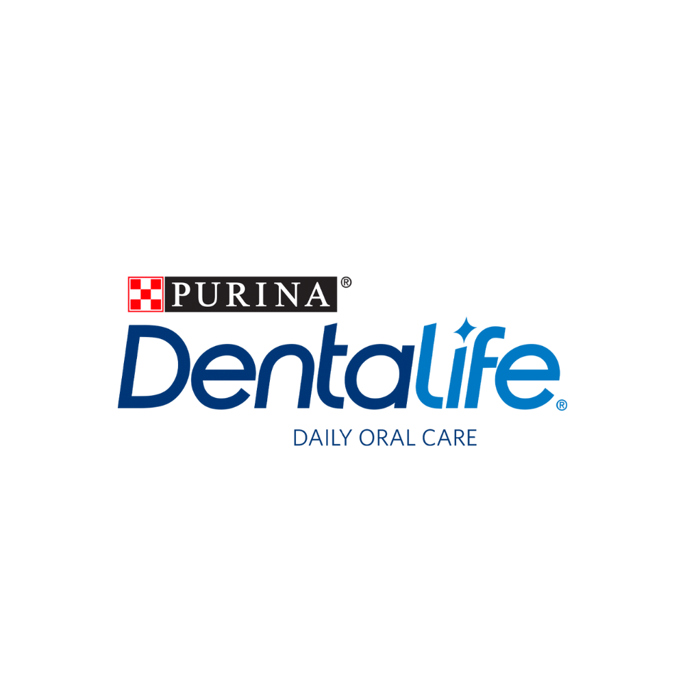 Dentalife