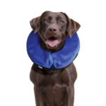 KONG Cloud Collar - Imagen 4