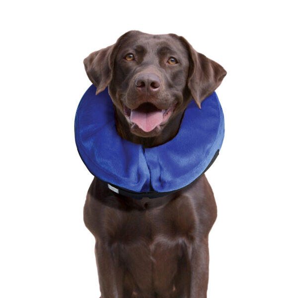 KONG Cloud Collar - Imagen 4