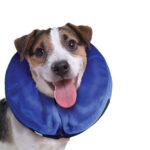 KONG Cloud Collar - Imagen 3
