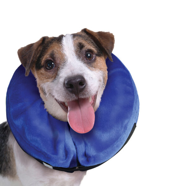 KONG Cloud Collar - Imagen 3