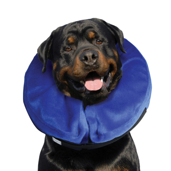 KONG Cloud Collar - Imagen 5