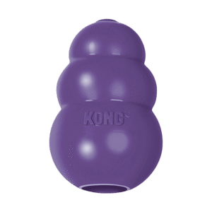 KONG Senior