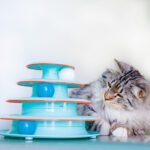Petstages Chase Meowtain