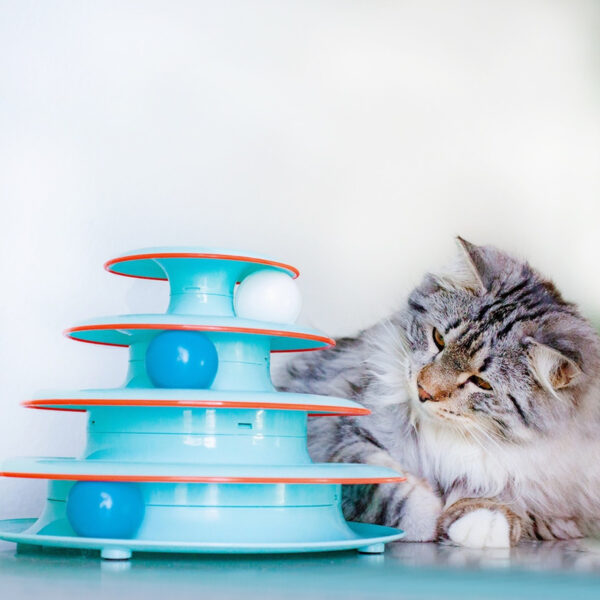 Petstages Chase Meowtain