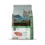 Bravery Pollo Gato Kitten
