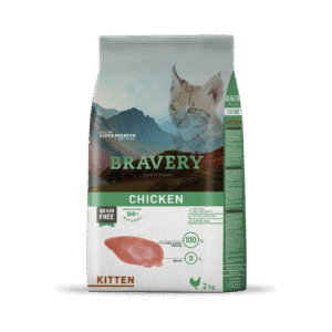 Bravery Pollo Gato Kitten