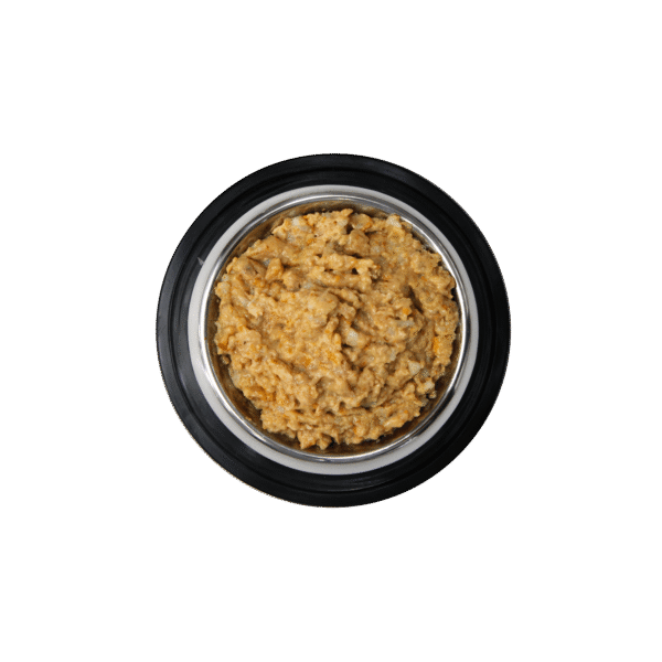 Amity Súper Premium Pollo y Salmón Gato Adulto 80g