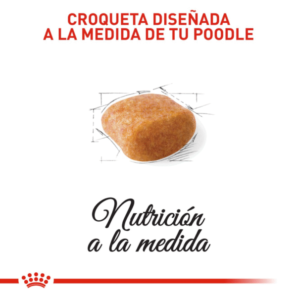 Royal Canin BHN Poodle Adulto