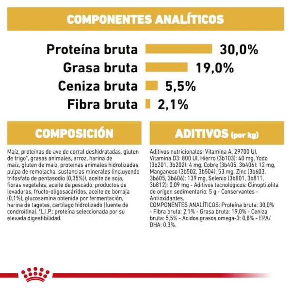 Royal Canin BHN Poodle Adulto