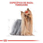 Royal Canin BHN Yorkshire Adulto