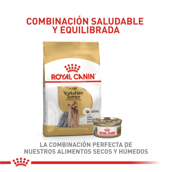 Royal Canin BHN Yorkshire Adulto