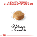 Royal Canin BHN Yorkshire Adulto