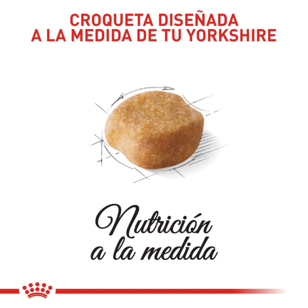 Royal Canin BHN Yorkshire Adulto