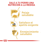 Royal Canin BHN Yorkshire Adulto