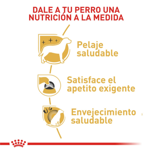 Royal Canin BHN Yorkshire Adulto