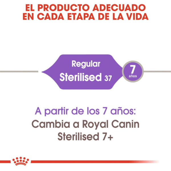 Royal Canin FHN Sterilised 37