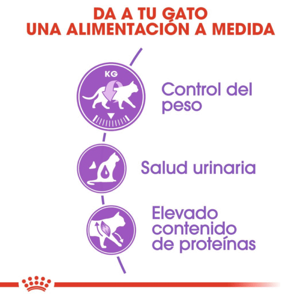 Royal Canin FHN Sterilised 37