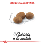 Royal Canin FHN Sterilised 37