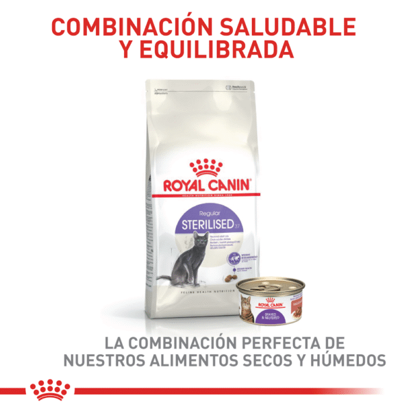 Royal Canin FHN Sterilised 37