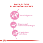 Royal Canin FHN Kitten