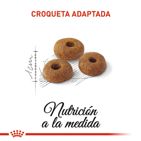 Royal Canin FHN Fit 32