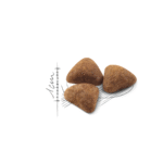 Royal Canin FHN Indoor 27