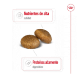Royal Canin SHN Maxi Adulto