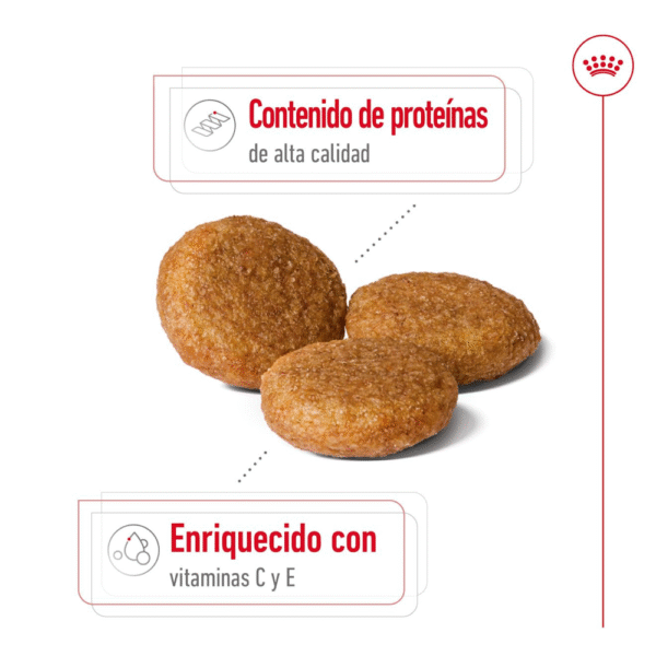 Royal Canin SHN Medium Adulto