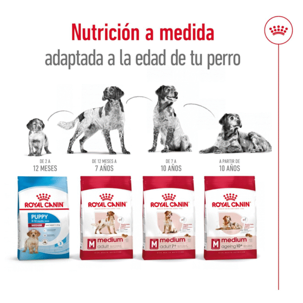 Royal Canin SHN Medium Adulto