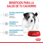 Royal Canin SHN Mini Puppy
