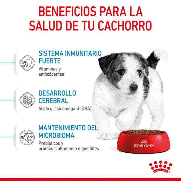 Royal Canin SHN Mini Puppy