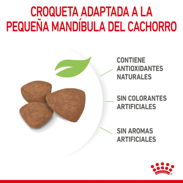 Royal Canin SHN Mini Puppy