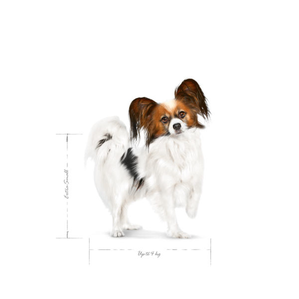 Royal Canin SHN X-Small Adult